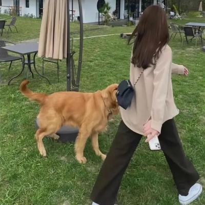 亲情难舍